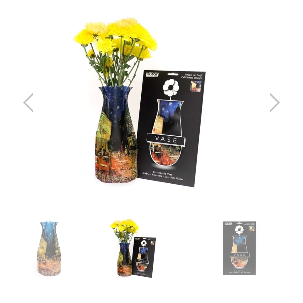 Modgy Expandable Vase Van Gogh